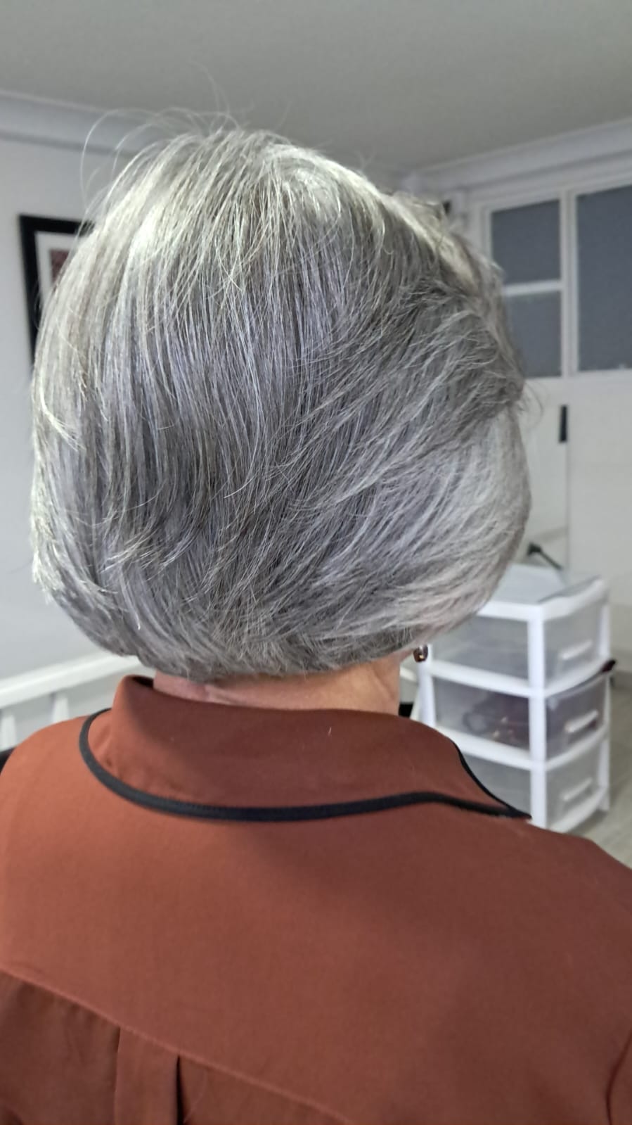 Corte plateado en capas, vista posterior